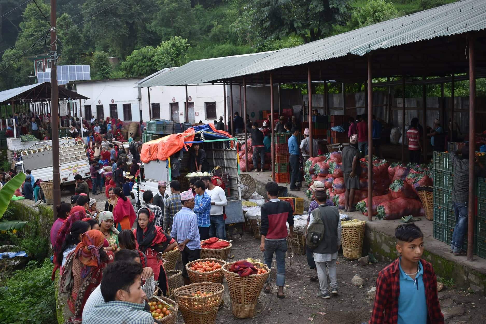 कपुरकोटबाट तीन महिनामा ७ करोडको तरकारी बिक्री