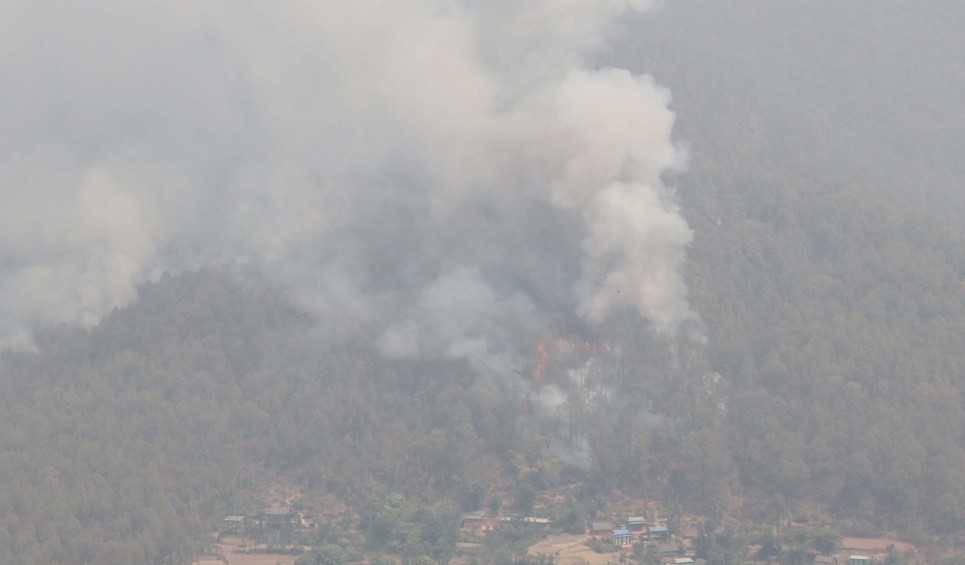 सल्यानमा तीन सय हेक्टर वन सखाप 