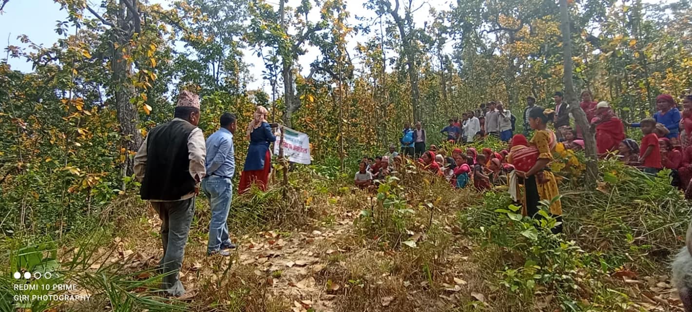 सल्यानमा डढेलो नियन्त्रण गर्न सञ्जाल 