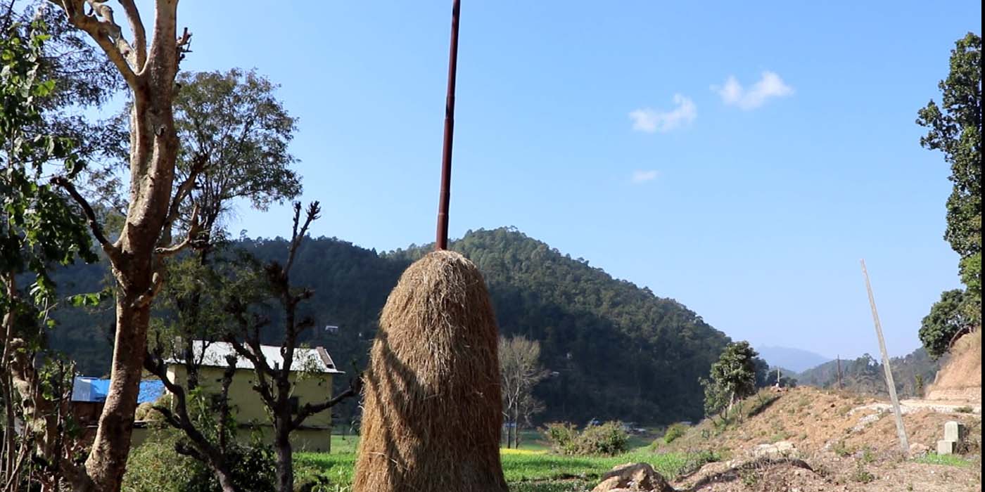 बिजुली बत्ती नआएपछि पोल टौवामा प्रयोग 
