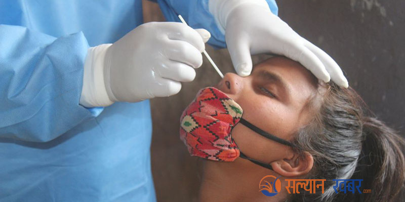 सल्यानको सिद्ध कुमाख गाउँपालिकामा दश जनाको स्वाब संकलन