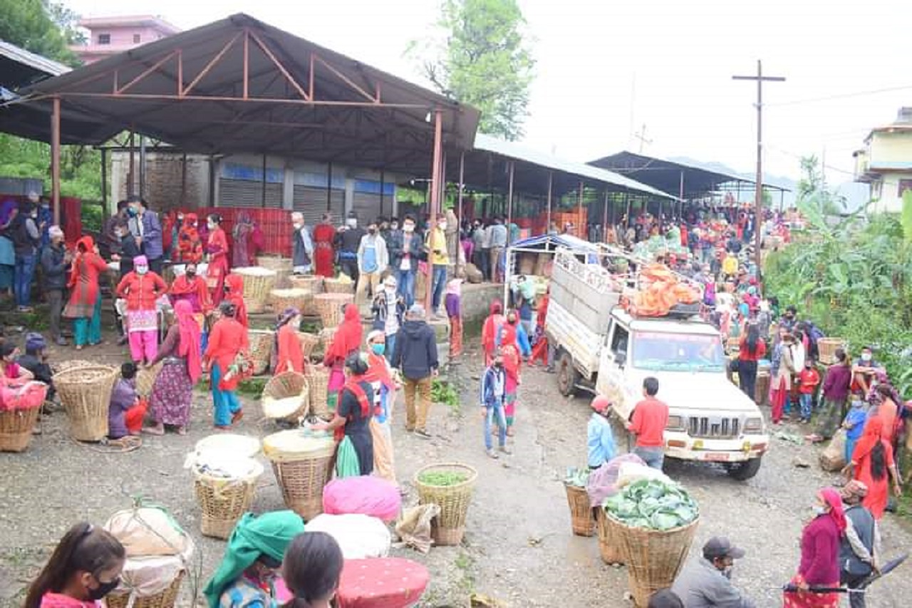 सल्यानमा बेमौसमी तरकारीबाट छ महिनामा १७ करोड आम्दानी