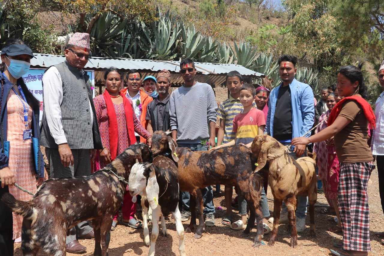 सल्यान त्रिवेणीका कृषक समूहलाई बाख्रा वितरण