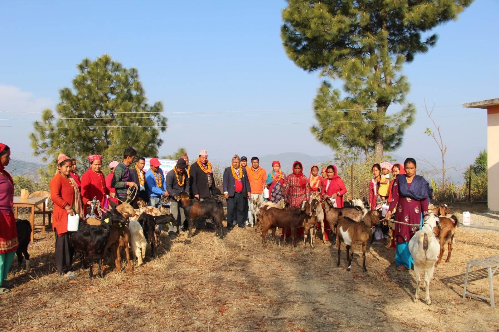 सल्यान त्रिवेणीका किसानलाई बाख्रा वितरण 