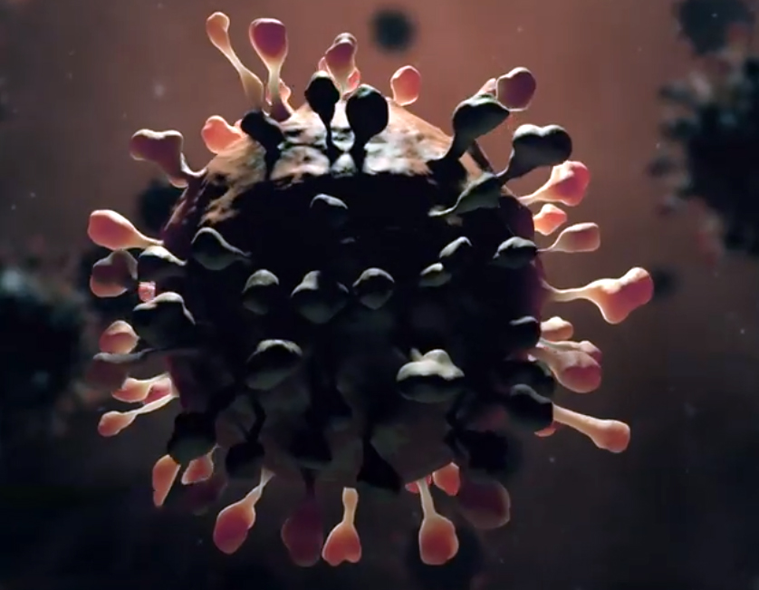  धनगढीमा पनि भेटिए कोरोना संक्रमित