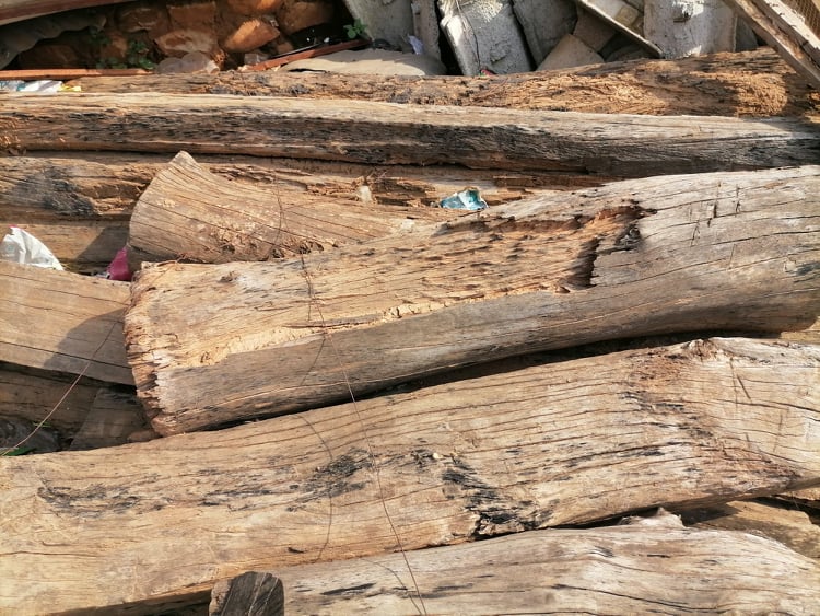 सल्यानमा लिलाम नहुँदा लाखौँ मूल्य बराबरको काठ कुहिँदै