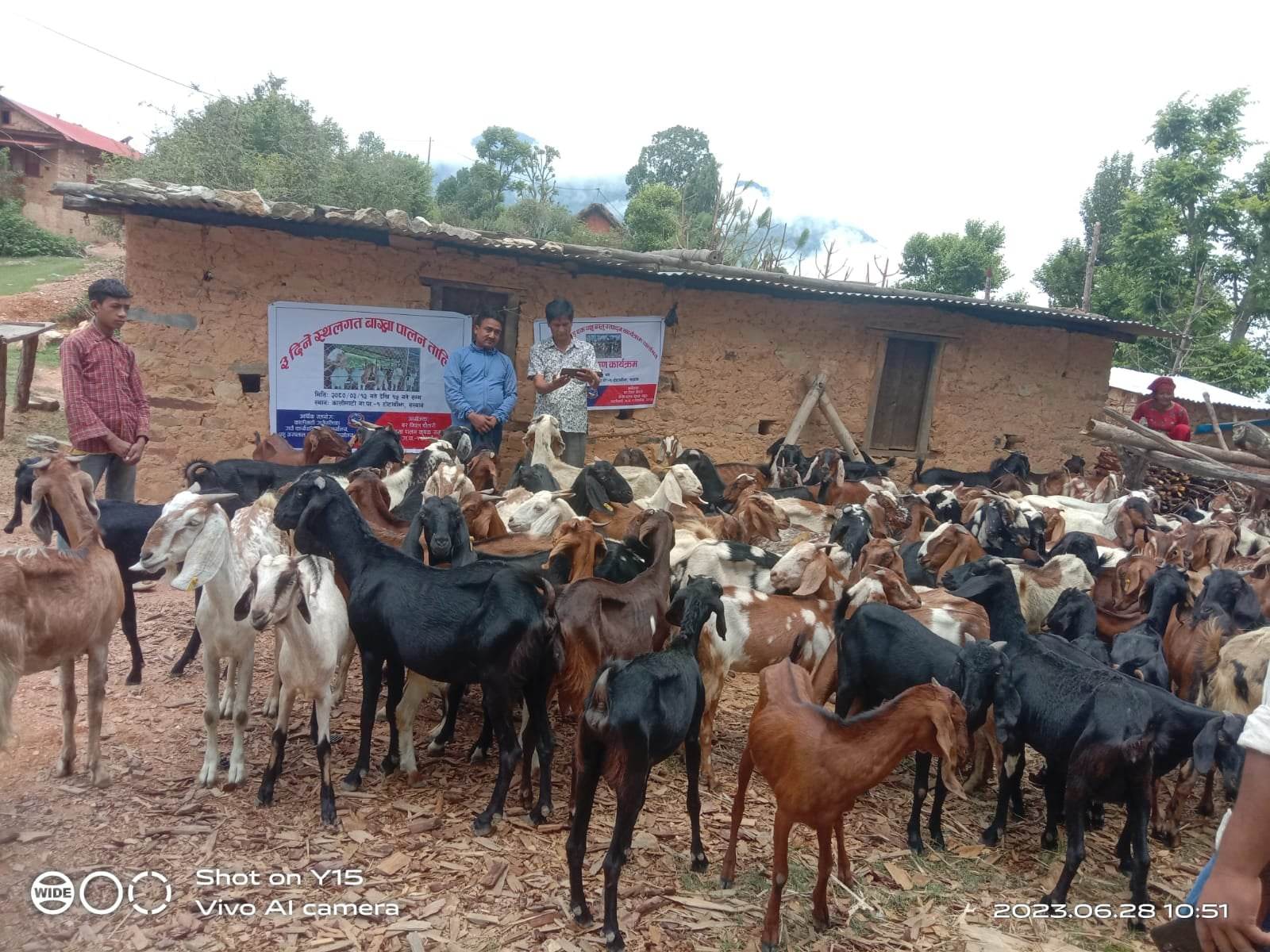  जीवन स्तर सुधार गर्न सल्यानका किसानलाई बाख्रा वितरण 
