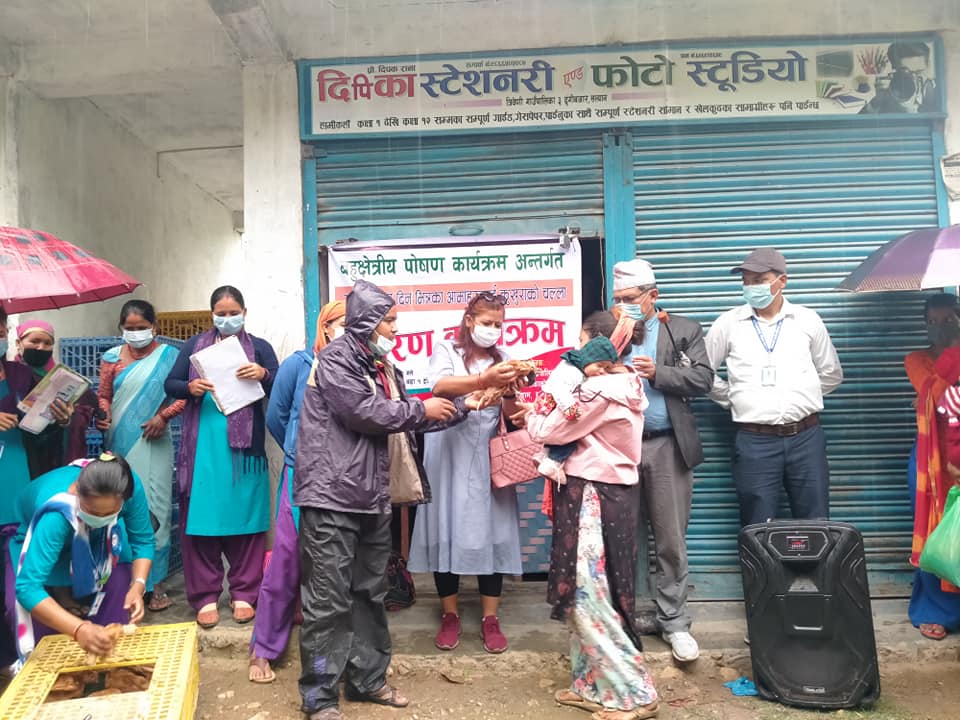 सल्यानको त्रिवणी गाउँपालिकामा सुनौलो हजार दिनका छ सय आमालाई कुखुरा वितरण 