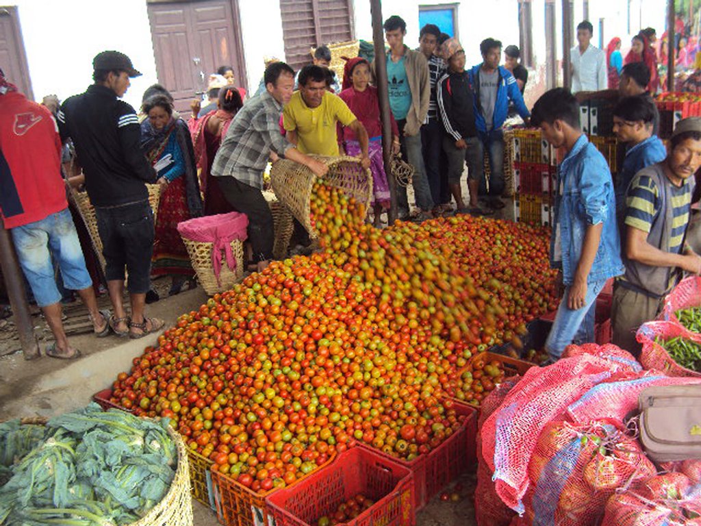 सल्यानबाट १२ करोडभन्दा बढीको कृषिजन्य वस्तु निकासी