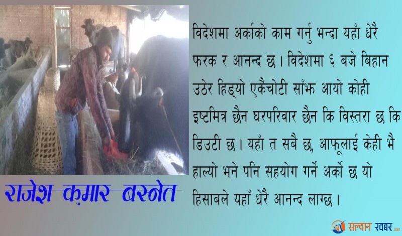 विदेशको पैसा वर्षाको भलपानी कृषिमै छ जिन्दगी