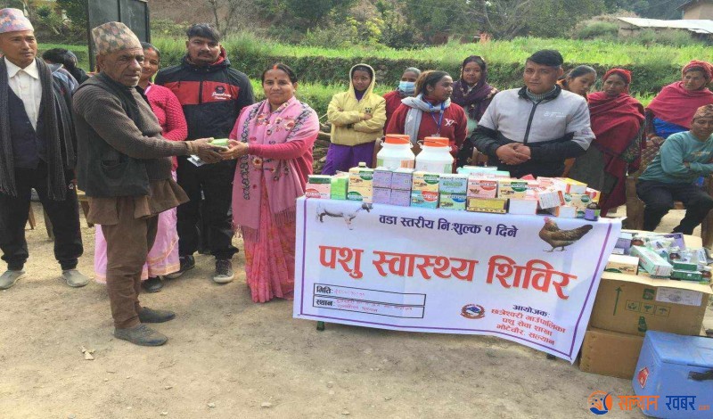 सल्यानको छत्रेश्वरीमा  पशु स्वास्थ्य शिविर, एकै दिन दुई हजार बढी पशुचौपायाको उपचार