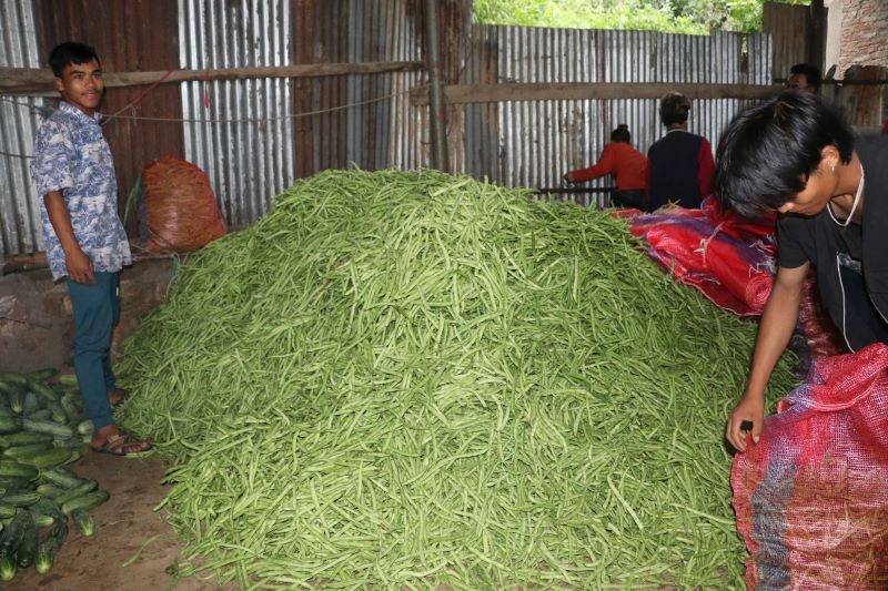 सल्यानबाट २४ करोडको ताजा तरकारी तथा फलफूल निकासी 
