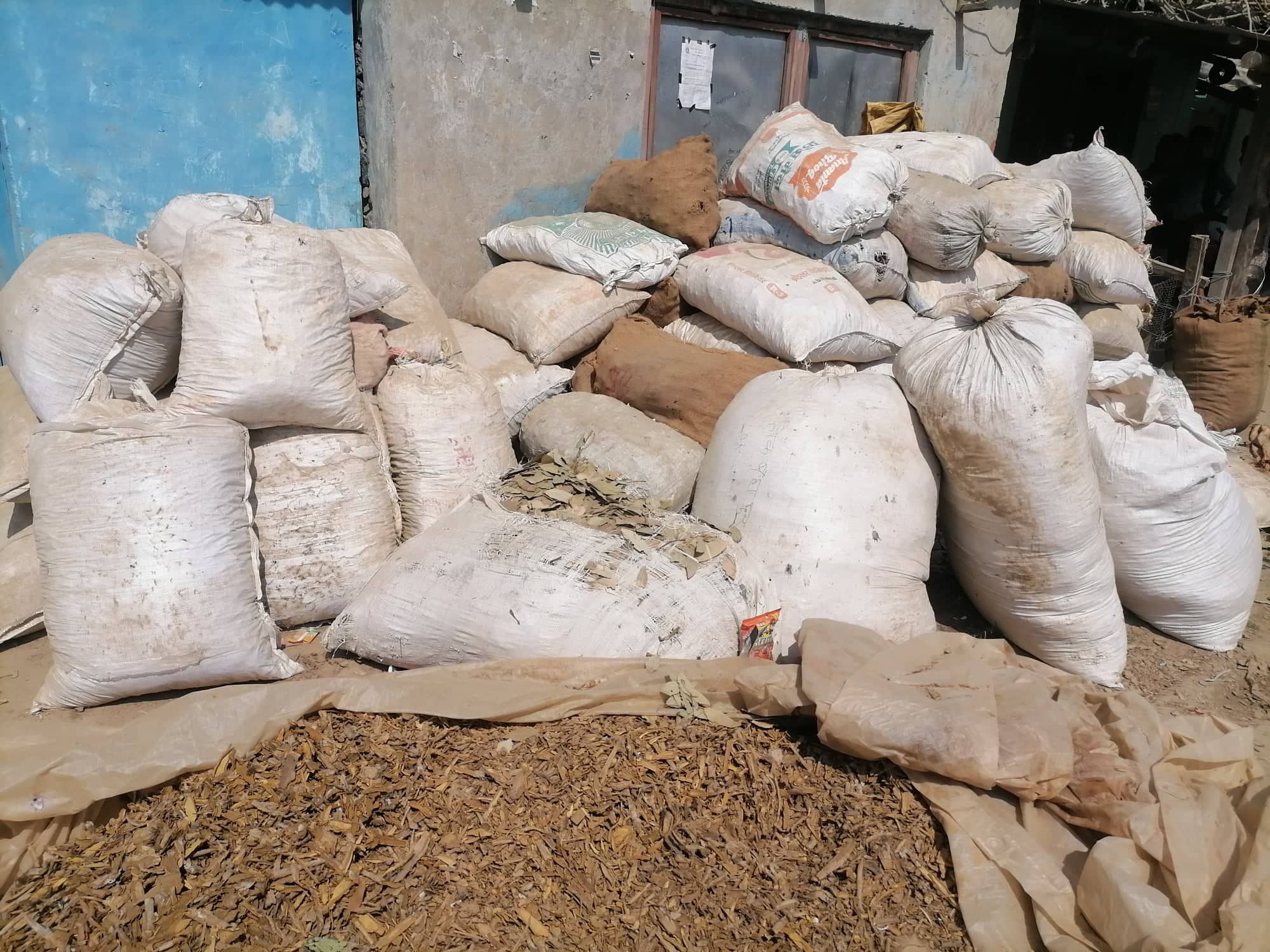 सल्यानमा जडीबुटी निकासीबाट १८ लाख बढी राजस्व संकलन 