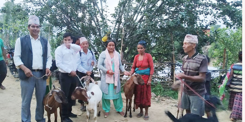अनुदानमा बाख्रा वितरण ,व्यवसायिक कृषक बनेर अघि  बढ्न उपमेयर यरीको आग्रह 