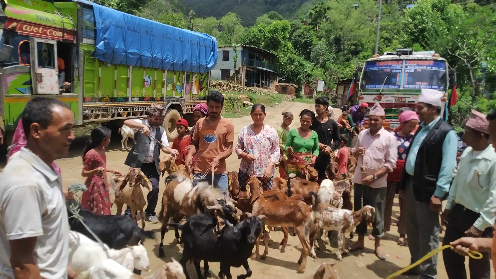 सल्यानको बनगाड कुपिण्डे नगरपालिकाका किसानलाई बाख्रा वितरण