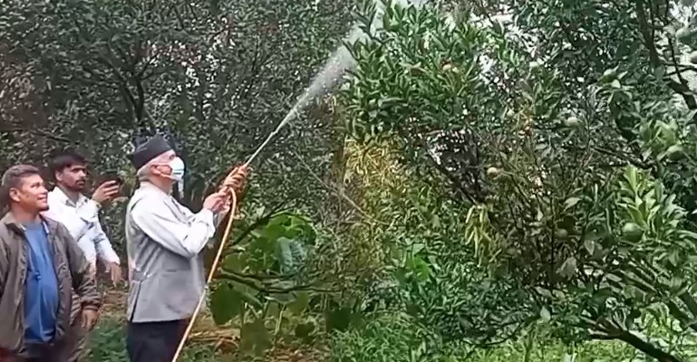 कृषि मन्त्री सहितको विज्ञ टोली पिंक रोगले सङ्क्रमित सुन्तला बगैँचामा