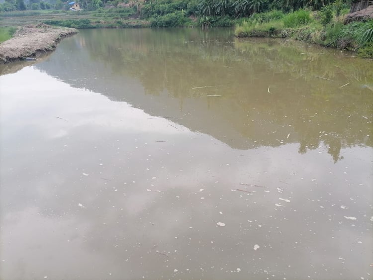 सल्यानका युवा माछापालनमा आकर्षित