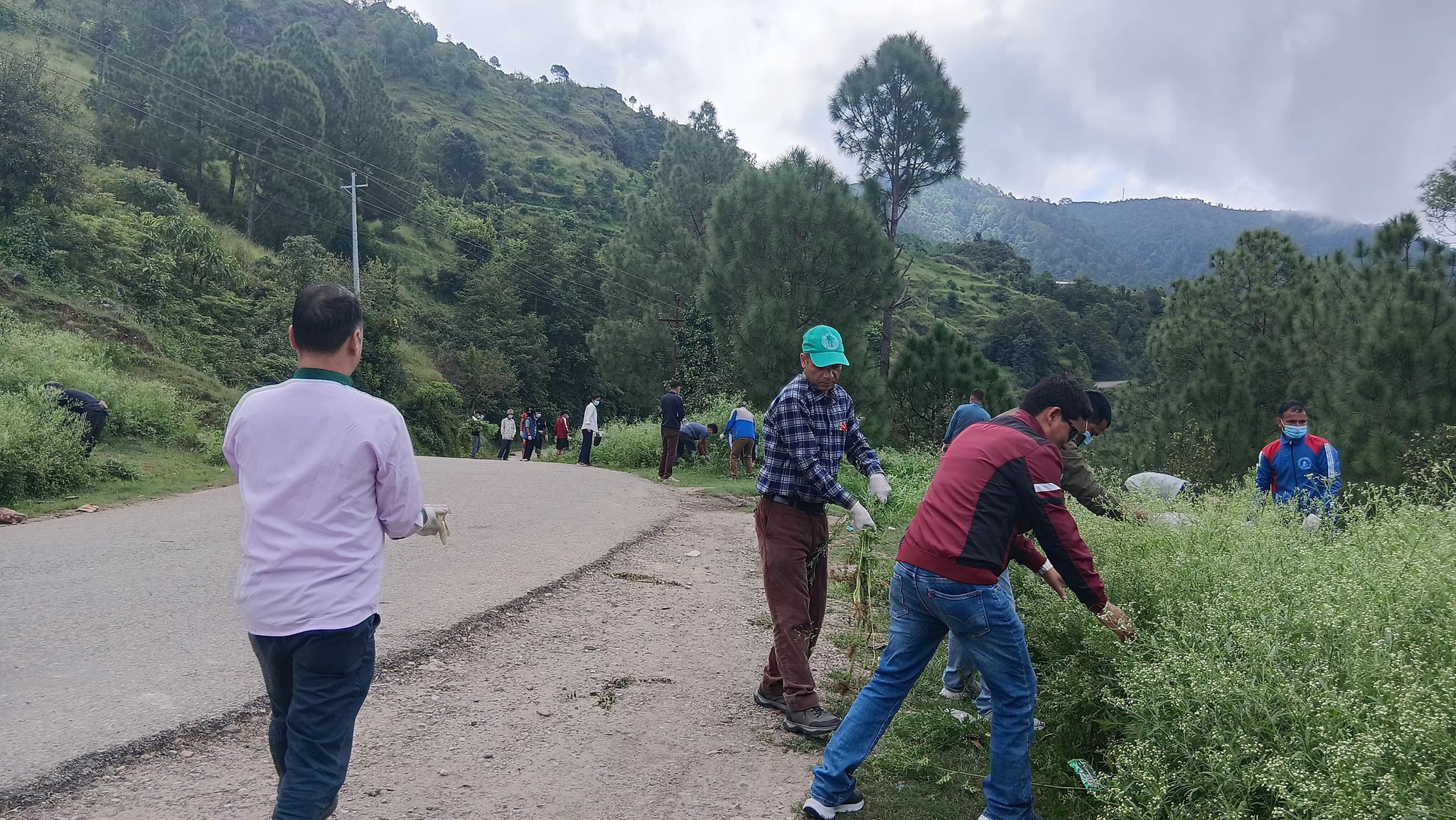 सल्यानमा मिचाहा वनस्पति व्यवस्थापन गरिदै