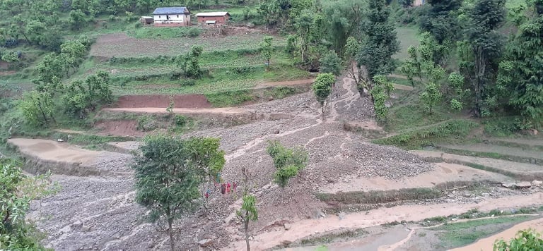 अविरल वर्षासँगै आएको बाढीले झिम्पे जयचौरको खेत बगरमा परिणत 