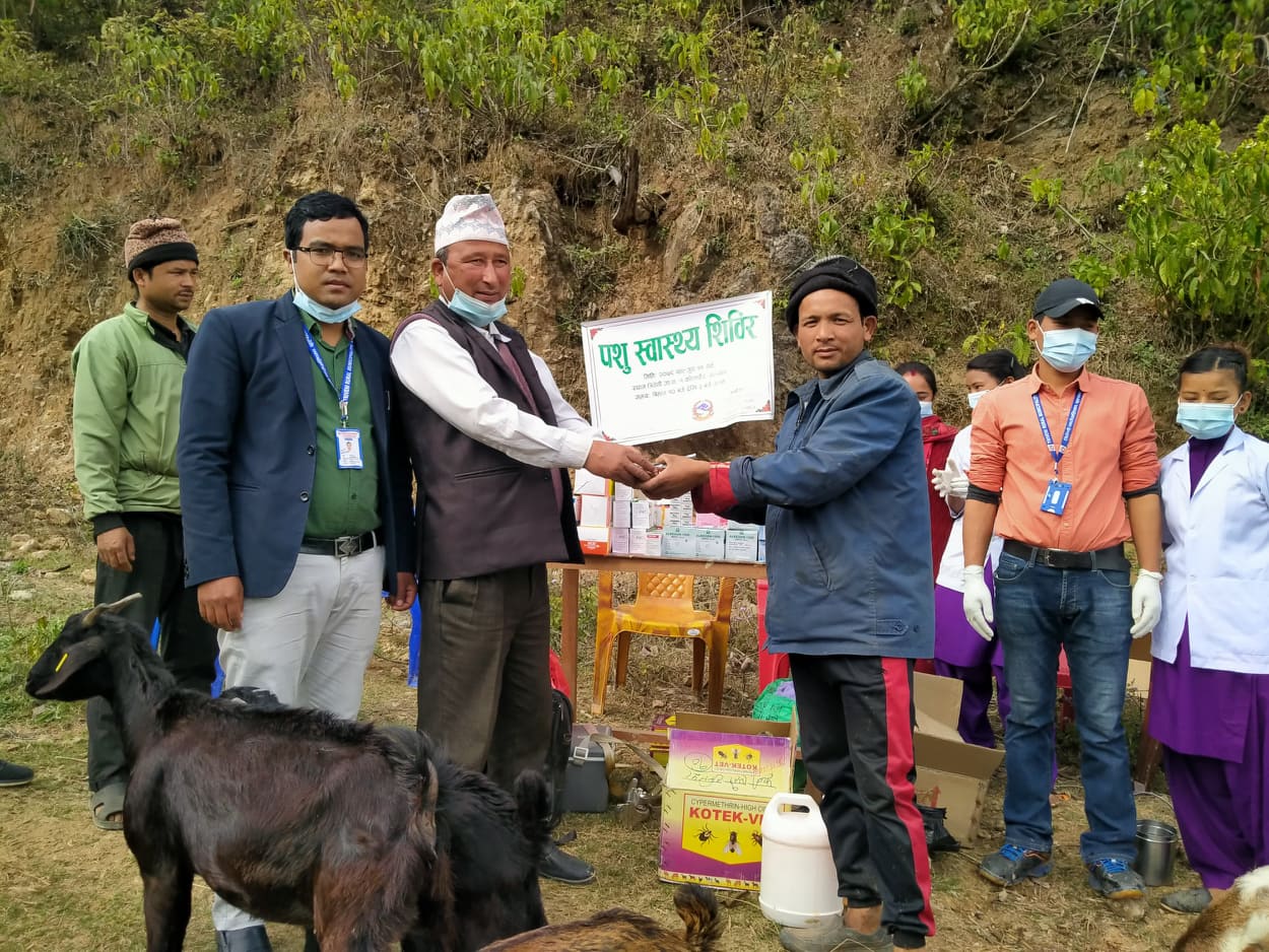 सल्यान त्रिवेणी गाउँपालिकाको कोलचौरमा एक दिने पशु शिविर सम्पन्न