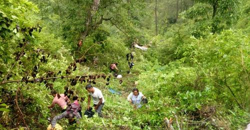 सल्यानममा गाडी दुर्घटना, उद्धार कार्य जारी 