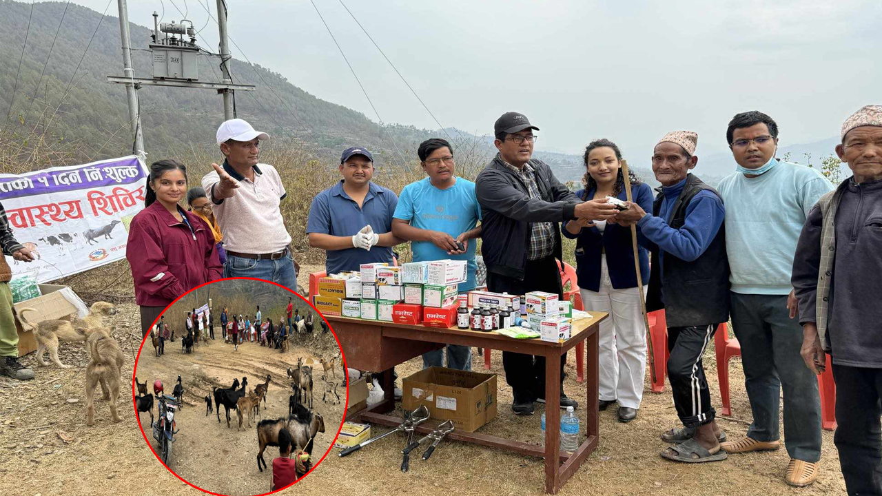 सल्यानमा २ हजार बढी पशुपंक्षिको निःशुल्क उपचार