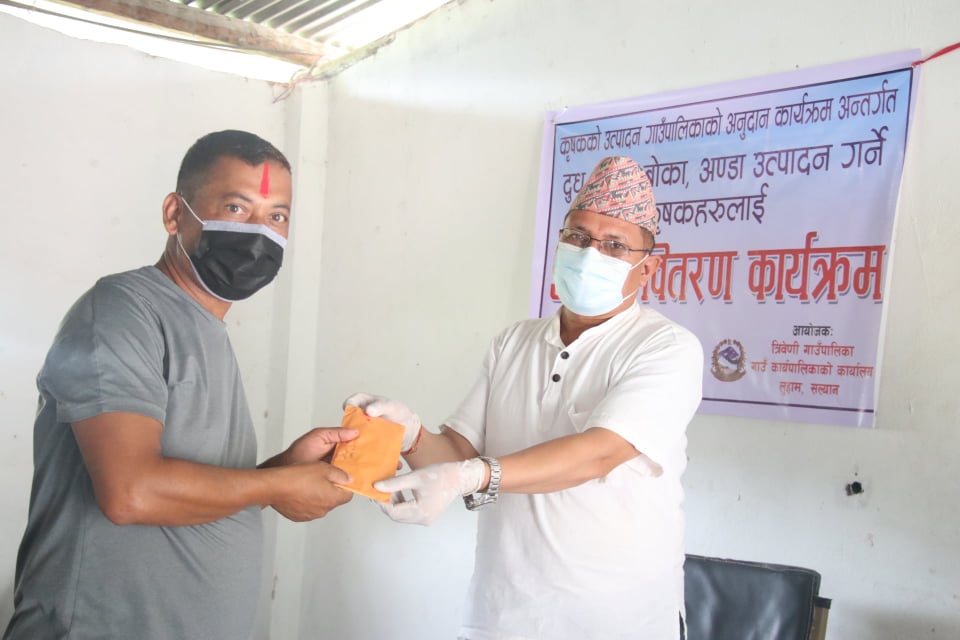 सल्यानको त्रिवेणी गाउँपालिकाद्धारा १ सय १ कृषकलाई अनुदान प्रदान 