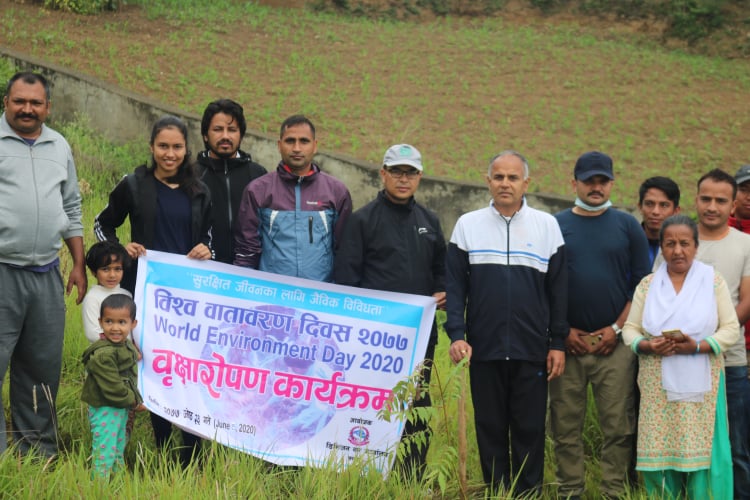 वृक्षा रोपण गरि मनाइयो सल्यानमा विश्व वातावरण दिवस 