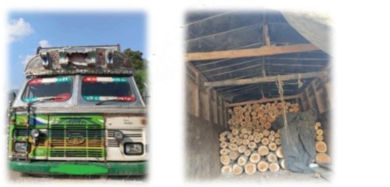 सल्यानबाट २३२ थान अवैध काठ बरामद 