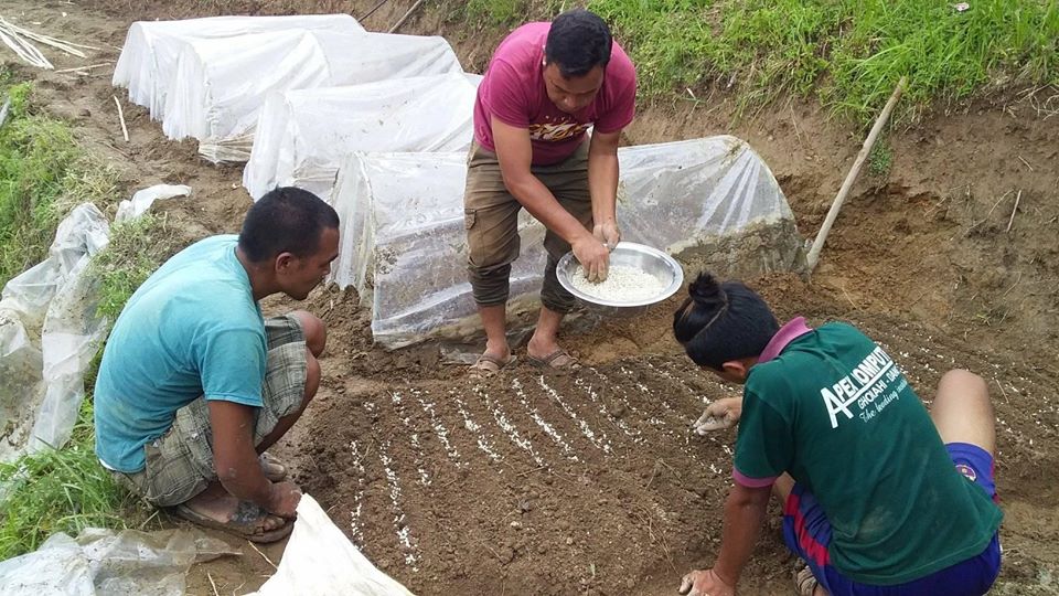 लकडाउनको नो टेन्सन : नर्सरीमा व्यस्त छन् सल्यानका किसान 