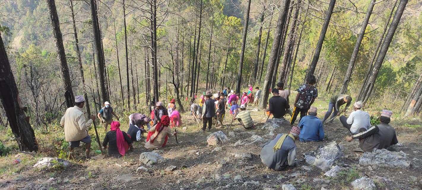 डढेलो नियन्त्रण गर्न सल्यानमा पूर्व तयारी तीव्र (फोटो फिचर)
