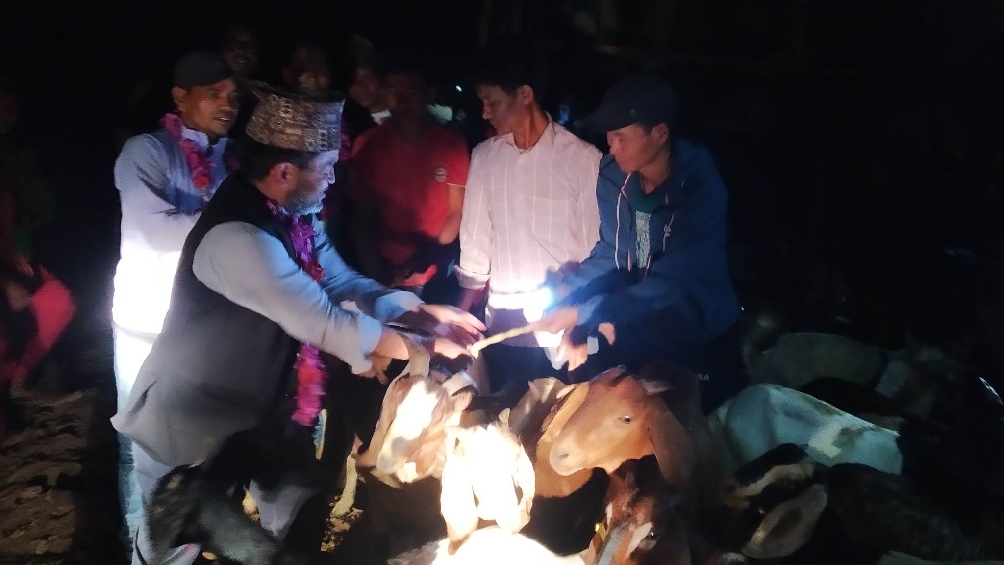 कृषकको जीवनस्तर उकास्न सल्यानको बनगाडमा बाख्रा वितरण