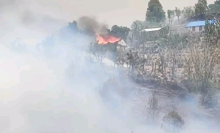 वनमा लागेको आगो बस्तीमा पस्दा लेखपोखरामा ८ घरगोठ जली नष्ट 