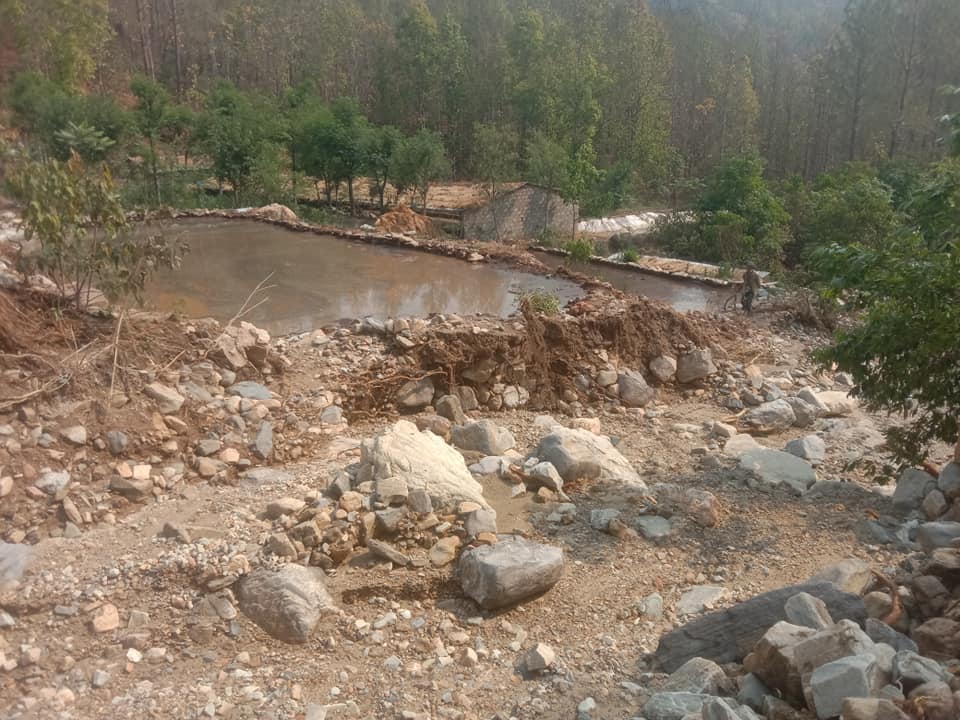 सल्यानमा बाढीले बगायो १२ लाख रुपैयाँको माछाको भुरा