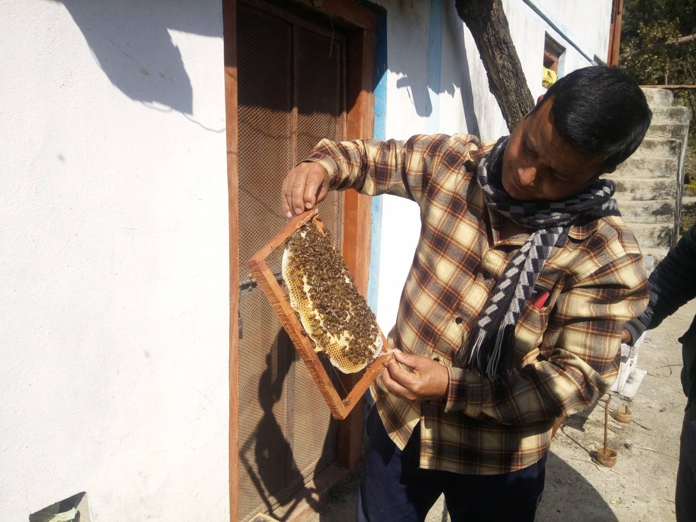 सल्यानमा ३३ प्रतिशतले घट्यो मह उत्पादन