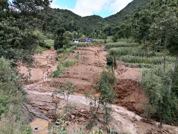 सल्यानमा बाढीपहिरोले आठ सय रोपनी बालीनालीमा क्षति 