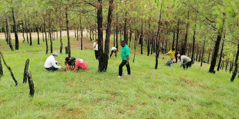 सल्यानमा विभिन्न खोटो कम्पनीले एक लाख बिरुवा वृक्षारोपण गर्दै 