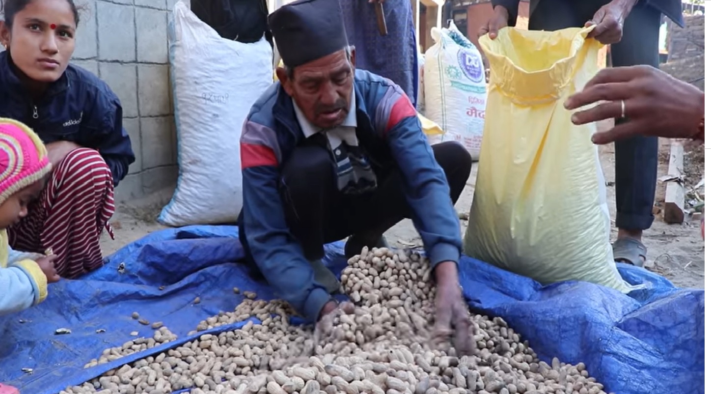 सल्यानमा झन्डै एक करोडको बदाम उत्पादन