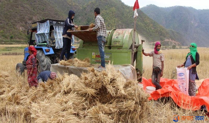 सल्यानका किसान आधुनिक कृषि यान्त्रीकरणमा आकर्षित
