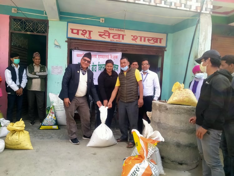 त्रिवेणी गाउँपालिकाद्धारा कृषकलाई वर्षे घाँसको बिउ वितरण 