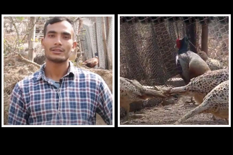 सल्यानमा पहिलो पटक व्यवसायिक कालिज पालन