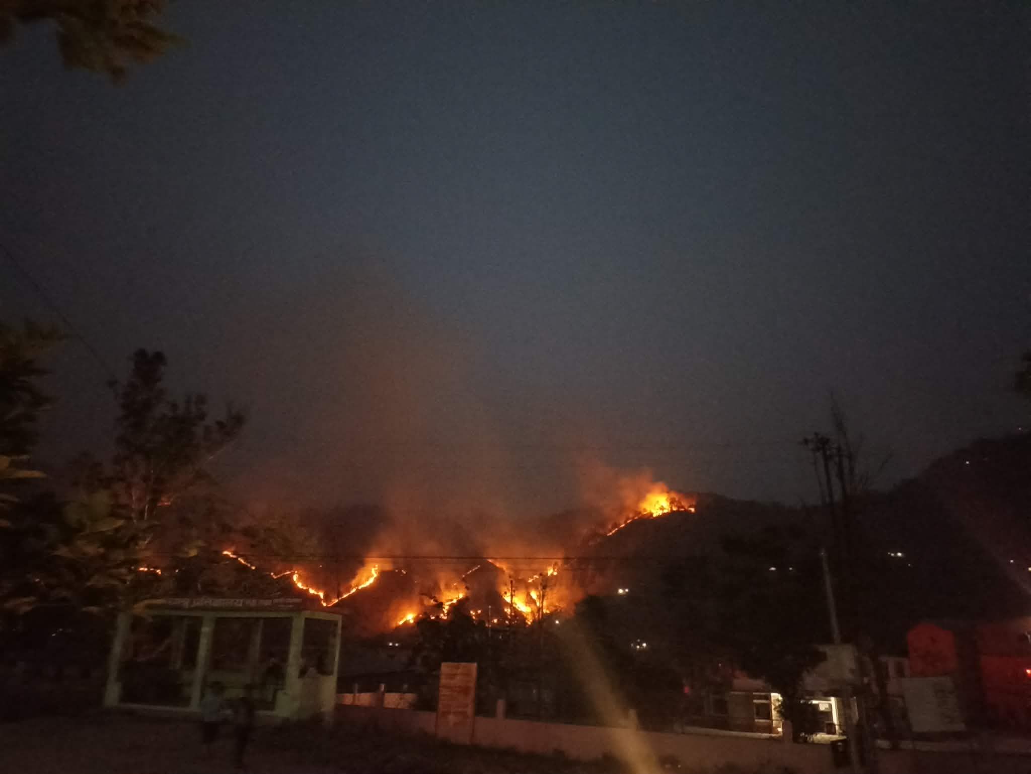 सल्यानमा ५१ स्थानमा डढेलो, २,७८० हेक्टर जंगल नष्ट