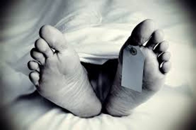 सल्यानमा रुखबाट खसेर महिलाको मृत्यु
