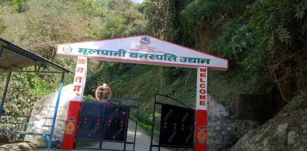 अनुसन्धान र पर्यटनको रोजाइमा मूलपानी वनस्पति