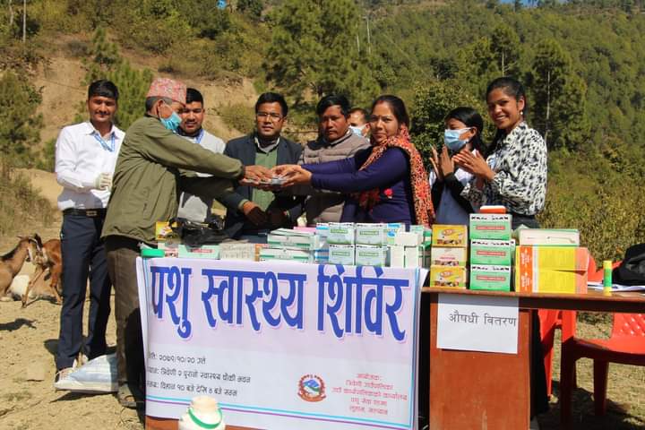 सल्यानको त्रिवेणी गाउँपालिकामा पशु स्वास्थ्य शिविर सम्पन्न