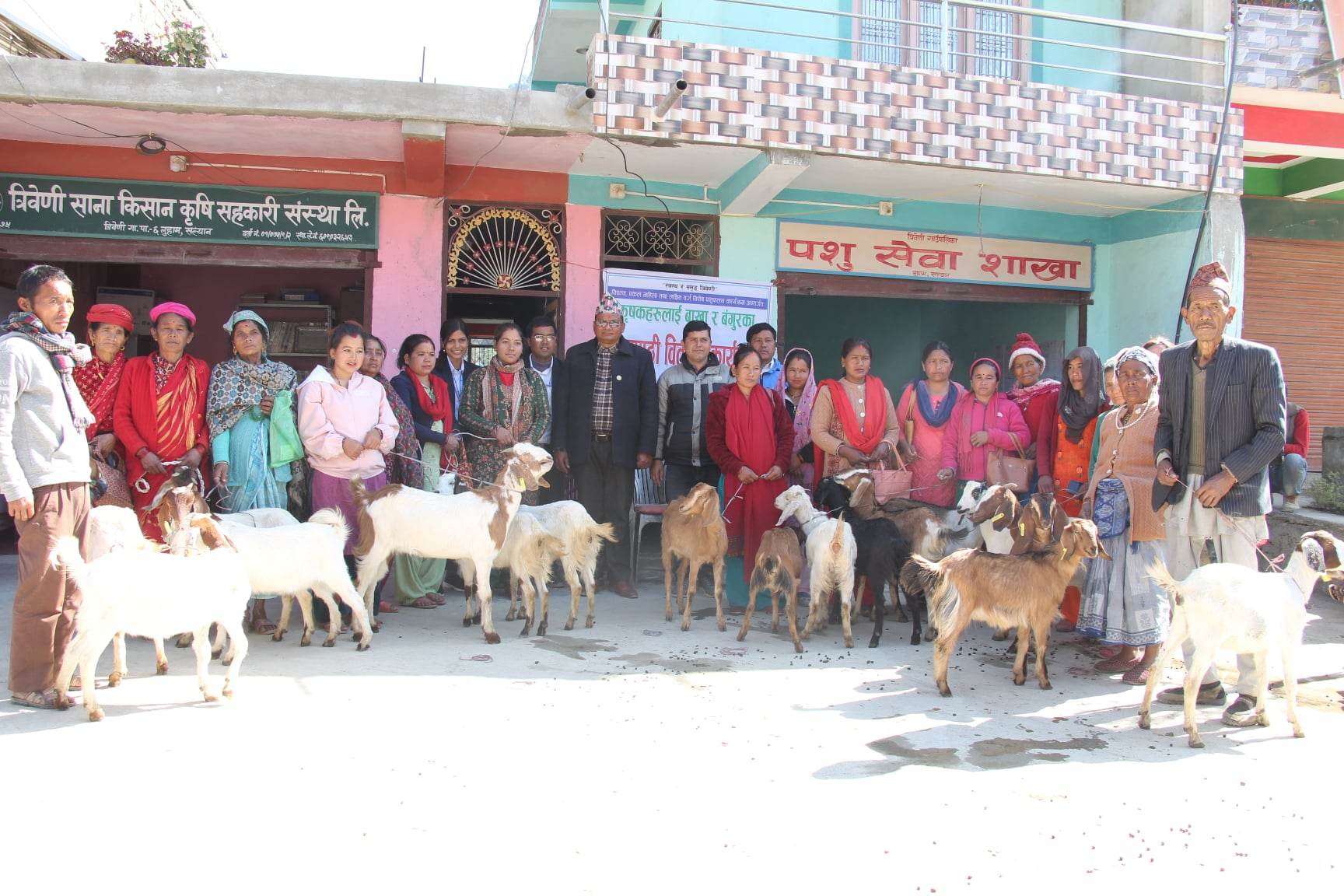 कृषकको जीवनस्तर उकास्न सल्यानको त्रिवेणीमा  बाख्रा र बंगुरका पाठापाठी वितरण 