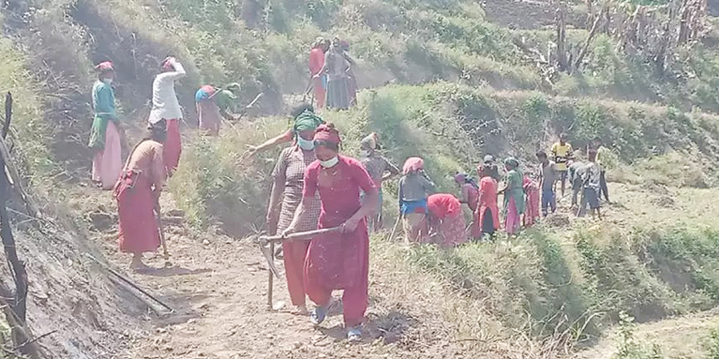 उत्पादकत्व बढाउन सल्यानमा चक्लाबन्दी खेती