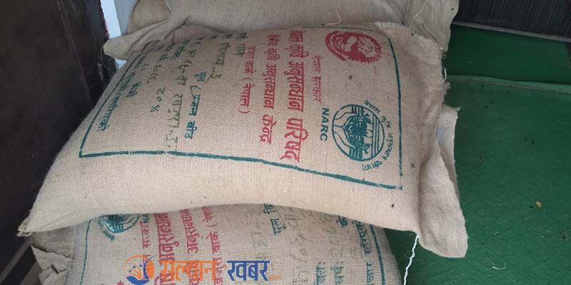 बनगाड कुपिण्डे नगरपालिकामा ५० प्रतिशत अनुदानमा धानको बीउ वितरण 