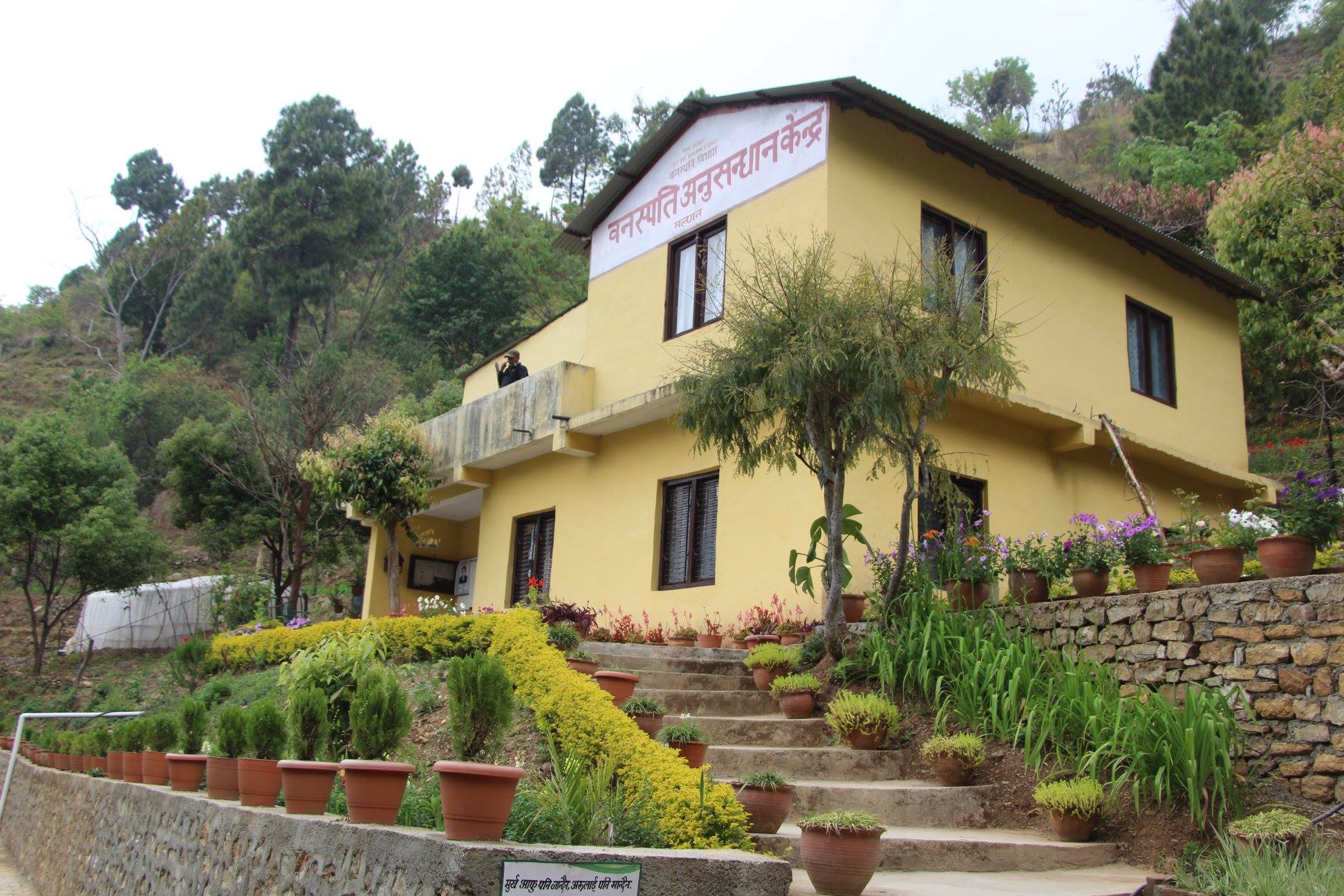 बहुमूल्य जडीबुटी संरक्षणमा जुट्दै सल्यानको वनस्पति अनुसन्धान केन्द्र 